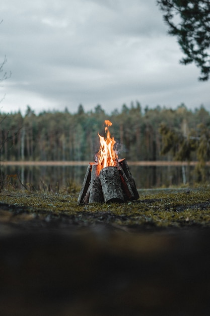 Photo gratuite tir vertical d'un feu de camp entouré de verdure sous un ciel nuageux le matin