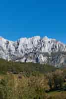 Photo gratuite tir vertical d'une forêt près de la montagne rocheuse