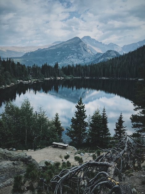 Tir vertical d'un grand étang entouré d'arbres avec une belle montagne