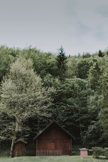 Photo gratuite tir vertical d'une grange en bois entourée d'arbres sous un ciel nuageux pendant la journée