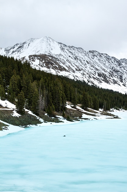 Tir vertical d'une mer gelée près des arbres et une montagne enneigée au loin sous un ciel nuageux