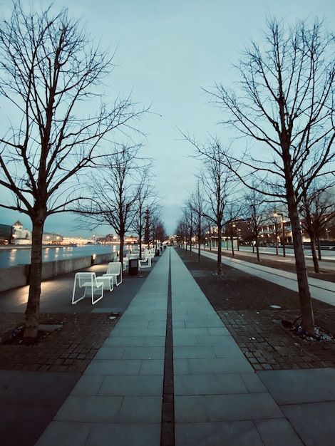 Photo gratuite tir vertical d'un parc au bord de la rivière dans la ville pendant la soirée