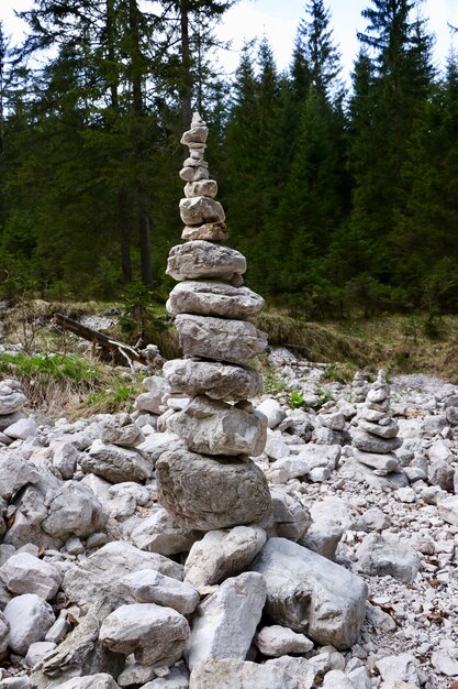 Tir vertical d'une pile de roches dans une forêt - concept de stabilité d'entreprise