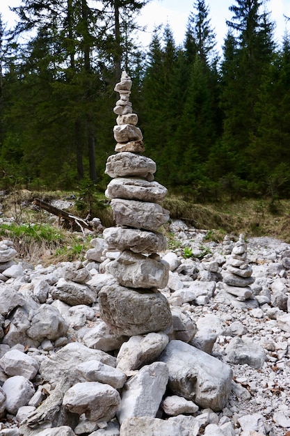 Tir vertical d'une pile de roches dans une forêt - concept de stabilité d'entreprise