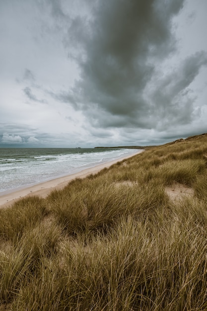 Tir vertical de la plage couverte d'herbe par l'océan calme capturé à Cornwall, Angleterre