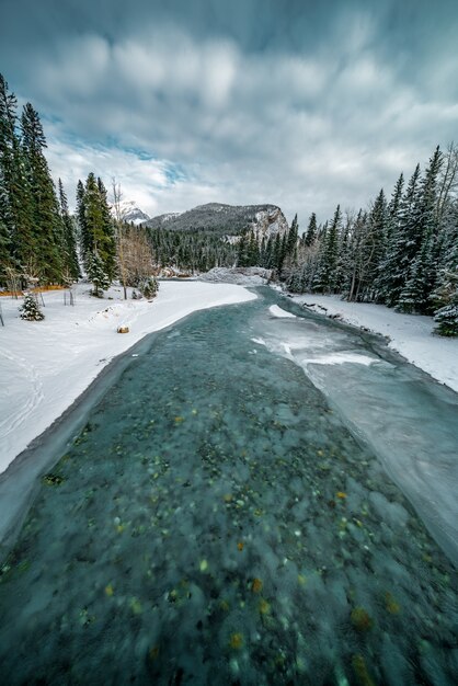 Tir vertical d'une rivière turquoise gelée dans une zone recouverte de neige à côté d'une forêt