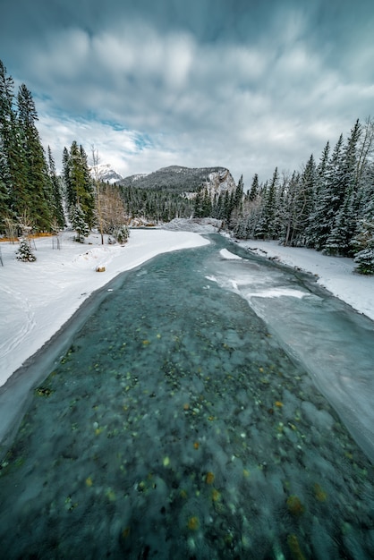 Tir vertical d'une rivière turquoise gelée dans une zone recouverte de neige à côté d'une forêt