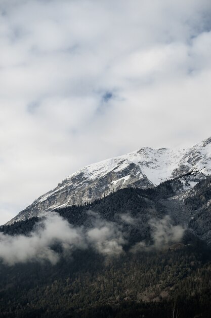 Tir vertical des sommets des montagnes couvertes de neige et d'arbres sous un ciel nuageux