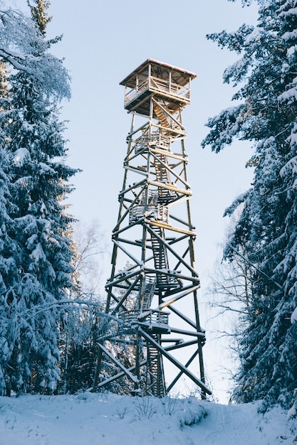 Photo gratuite tir vertical d'une tour de guet en bois parmi les arbres couverts de neige