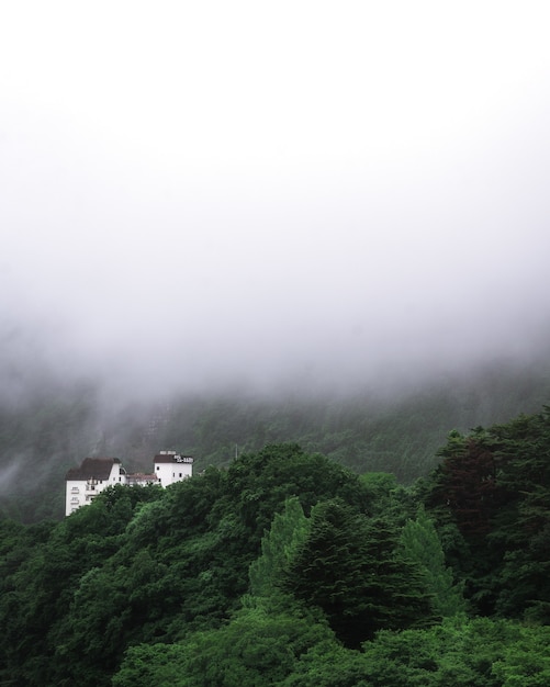 Tir vertical d'un vieux bâtiment sur une montagne couverte d'arbres un jour brumeux