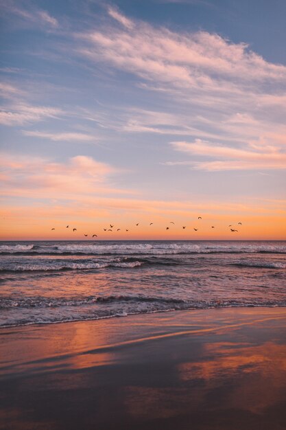 Tir vertical d'une volée d'oiseaux de mer survolant la mer au coucher du soleil
