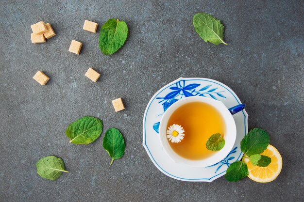 Tisane aux fleurs de camomille au citron, cubes de sucre brun épars et feuilles vertes dans une tasse et une soucoupe sur fond de stuc gris, à plat.