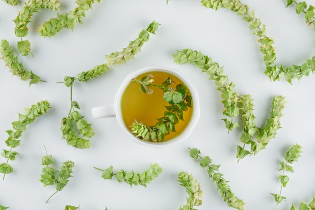 Tisane dans une tasse avec des feuilles à plat sur un fond blanc