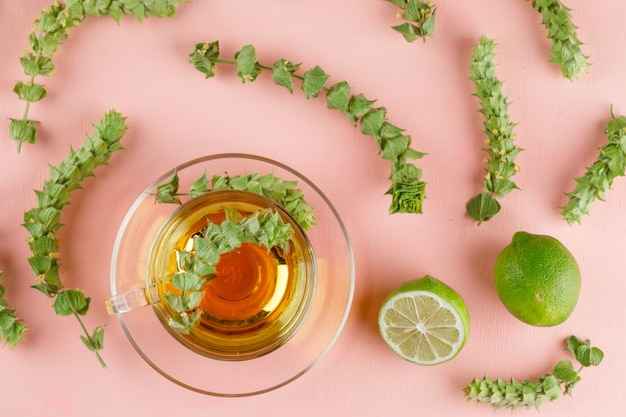 Tisane dans une tasse en verre avec des herbes, des limes à plat sur un rose