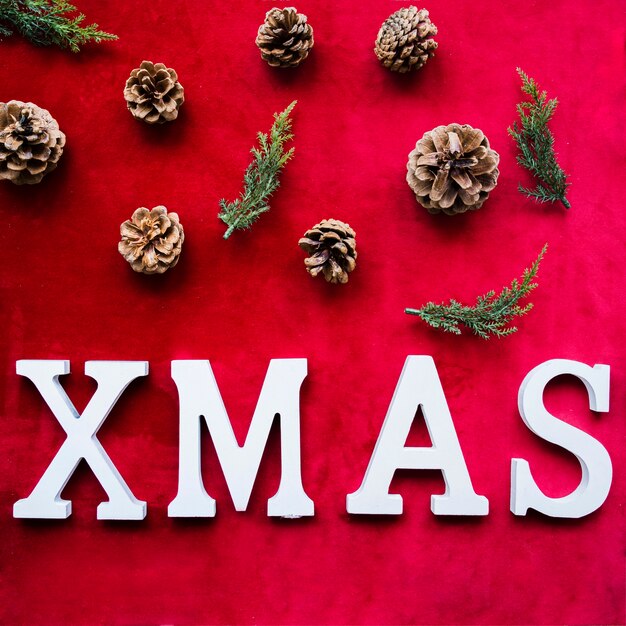 Titre de Noël près de branches d'arbres et de chicots de conifères