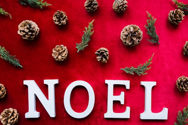 Photo gratuite titre de noel près des branches d'arbres et de chicots de conifères