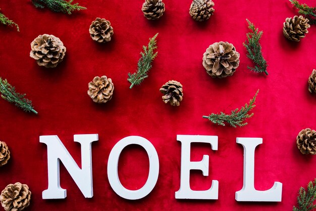 Titre de Noel près des branches d&#39;arbres et de chicots de conifères