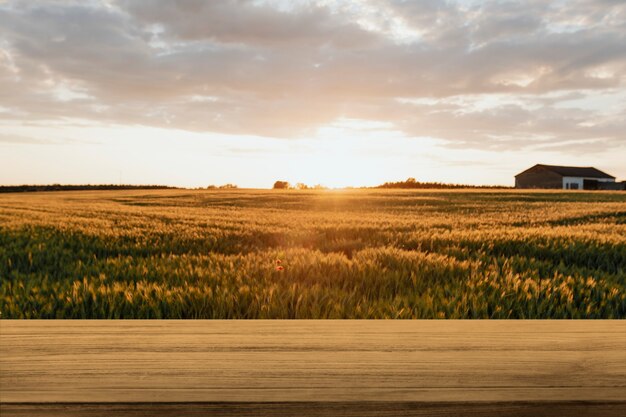 Toile de fond de produits naturels, ferme et lumière du soleil