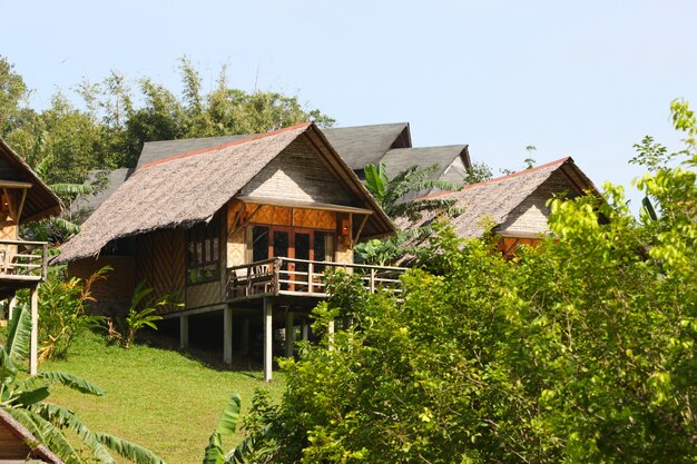 Toit de chaume sur une maison