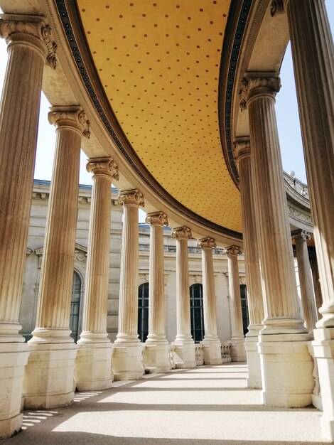 Toit et colonnes du Muséum d'Histoire Naturelle de Marseille sous la lumière du soleil en France