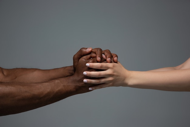 Tolérance raciale. Respectez l'unité sociale. Mains africaines et caucasiennes gesticulant isolés sur fond gris