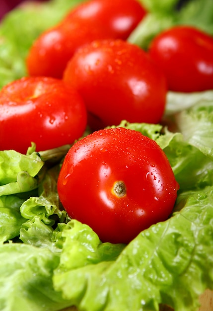 Tomates fraîches et humides