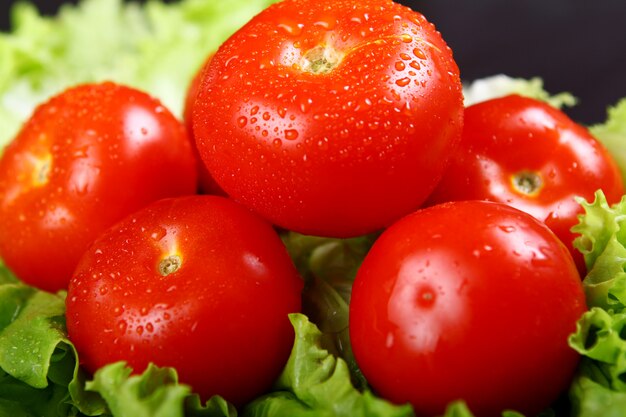 Tomates fraîches et humides