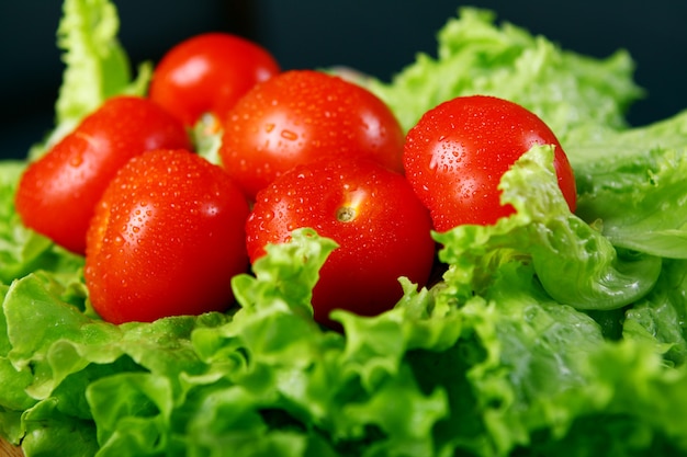 Tomates fraîches et humides