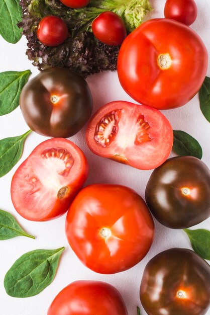 Tomates gros plan, sur, herbes