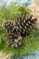 Photo gratuite top close view pinecones pin branches sur châle beige sur surface sombre