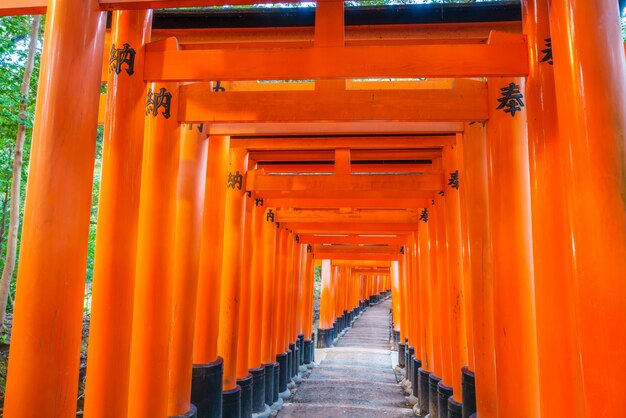 torii buddhist orient passage cru