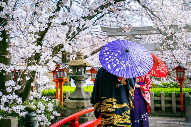 Touriste portant kimono traditionnel japonais et fleur de cerisier au printemps, temple de Kyoto au Japon.