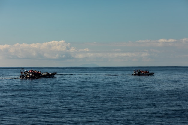 Touristes sur un bateau d'observation des baleines