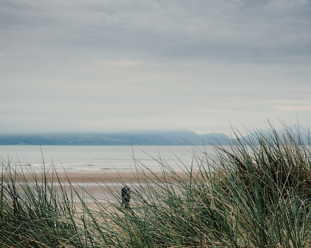 Photo gratuite tourné depuis une plage par une journée sombre, un homme marchant sur le rivage