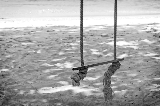 Tourné en niveaux de gris d'une vieille balançoire en bois sur la plage au bord de l'océan