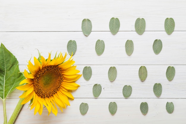 Tournesol et feuilles d&#39;ornement