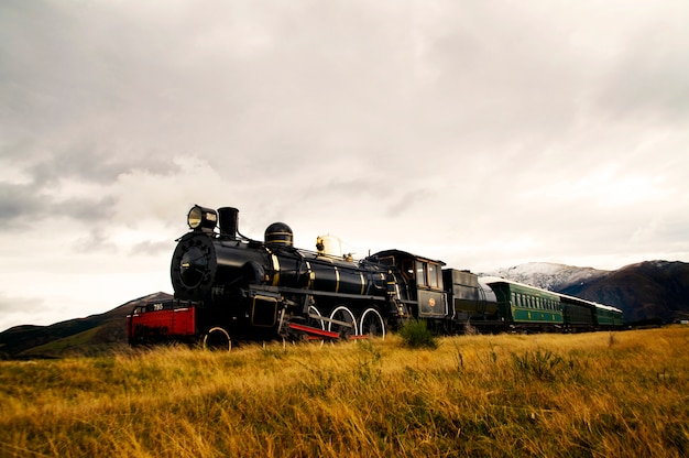 Photo gratuite train à vapeur dans une campagne ouverte.