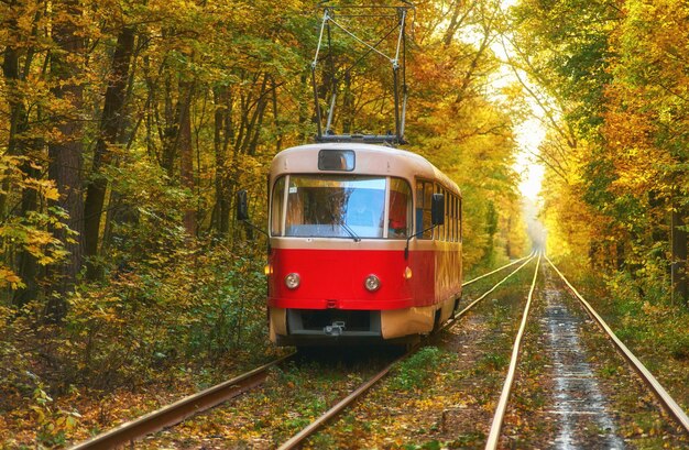 Le tramway avec passagers part de l'arrêt de bus de la ville tôt le matin