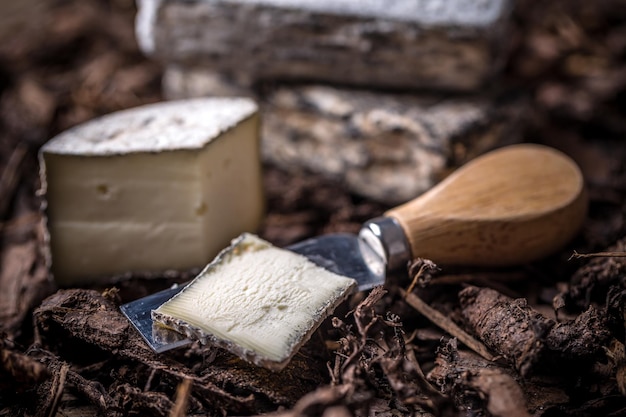 Tranche de fromage à pâte molle