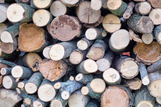 Tranches de bûches d'arbres les unes sur les autres