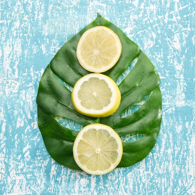 Photo gratuite tranches de citron sur feuille de monstera