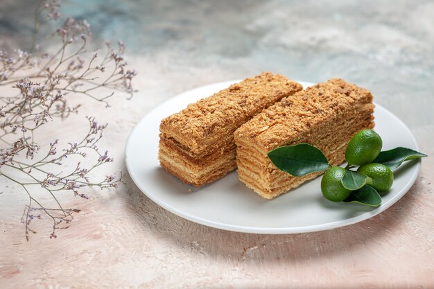 Tranches de gâteau savoureux à l'intérieur de la plaque sur fond gris