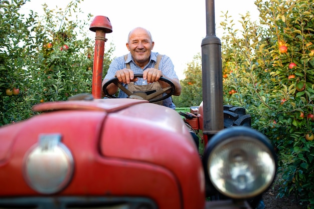 Travailleur senior conduisant sa vieille machine de tracteur de style rétro à travers le verger de pommiers