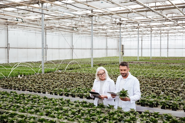 Travailleurs sérieux dans le jardin à la recherche et au toucher des plantes