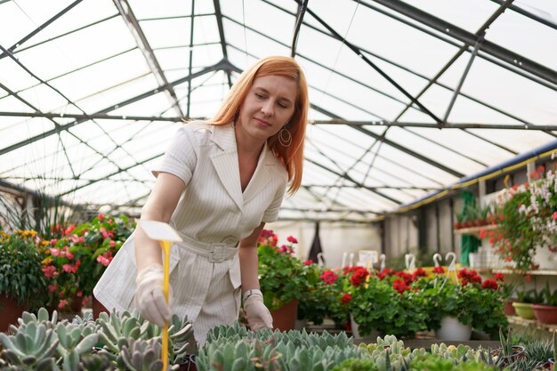 Les travailleurs surveillent la croissance et le développement des plantes succulentes à la maison verte