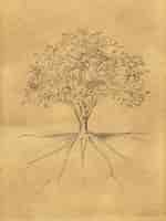 Photo gratuite tree sketch feuilles et racine sur papier