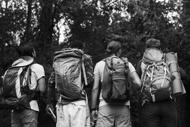 Photo gratuite trekking dans une forêt