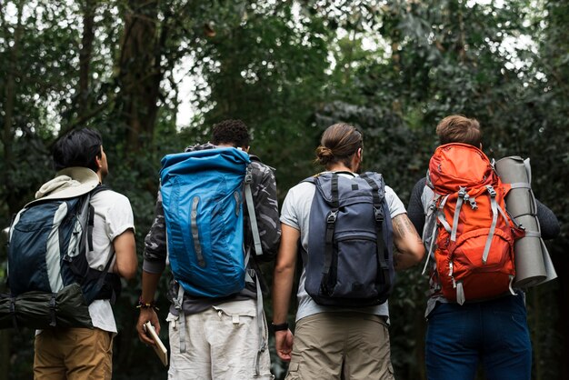 Trekking ensemble dans une forêt