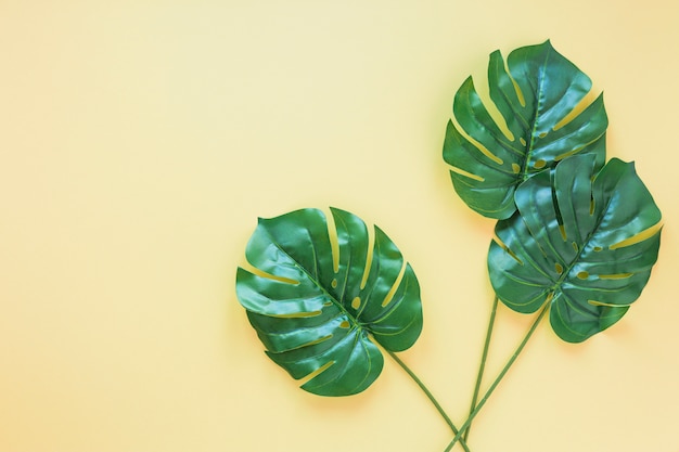 Photo gratuite trois feuilles de palmier vert sur table jaune