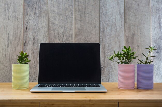 Trois pots peints en pot avec un ordinateur portable ouvert sur la table